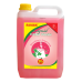 RIVER HANDWASH 5L RIVER HANDWASH 5L